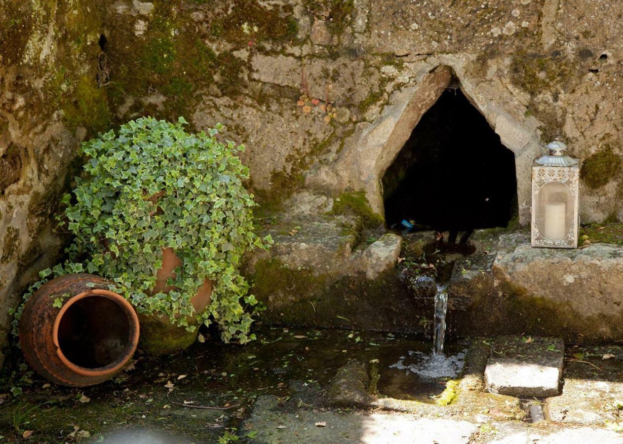 Pensjonat Jardines Pazo A Fabrica Celanova Zewnętrze zdjęcie